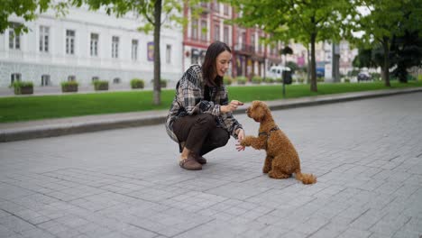 una mujer entrenando a su perro caniche