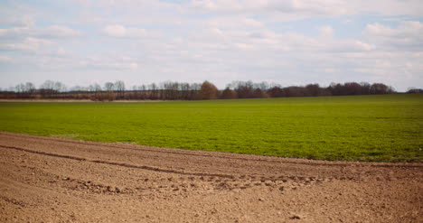 View-Of-Various-Agricultural-Fields-1