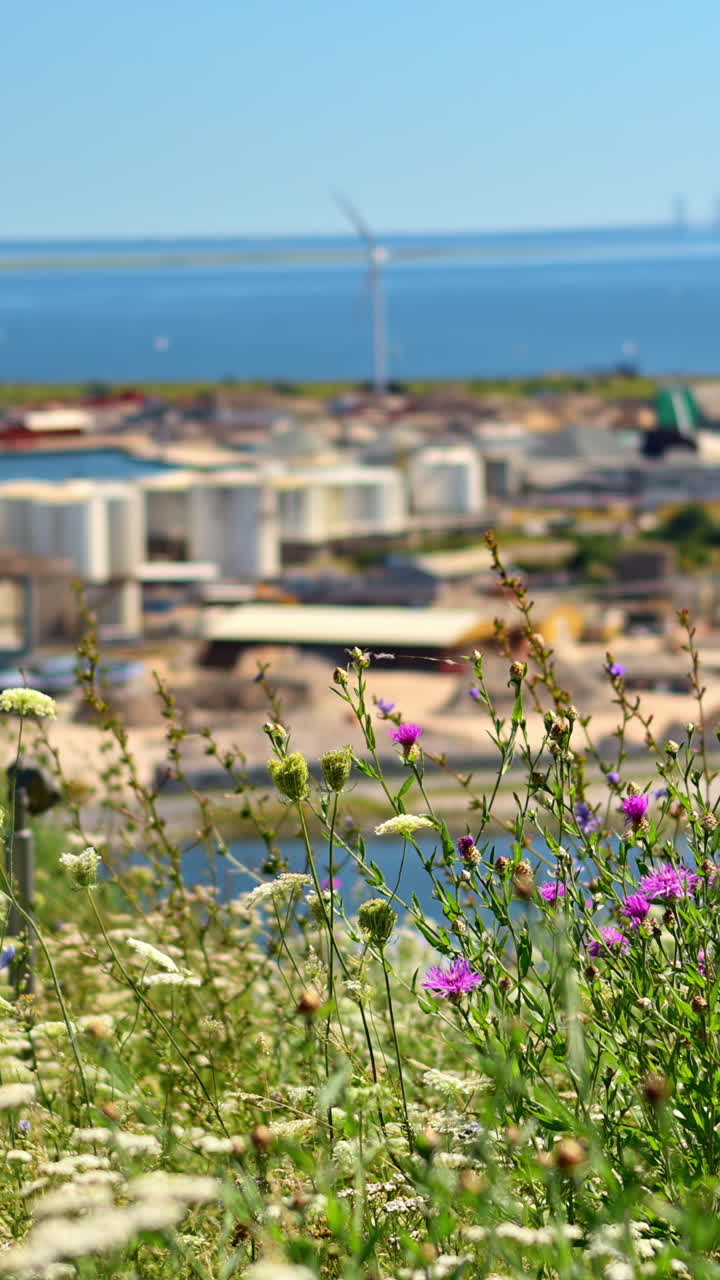 View from Copenhill in Copenhagen, Denmark in daylight. Vertical