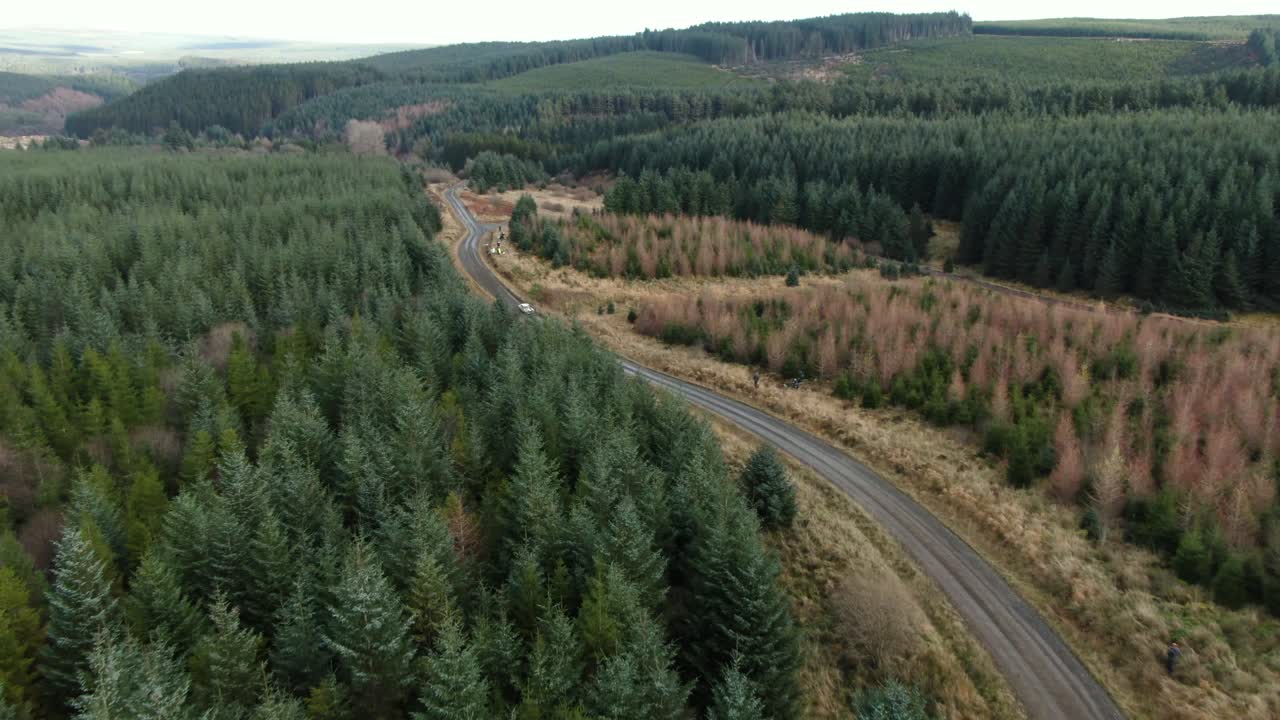 vista de drones de carreras de autos de rally a través del escenario del bosque rodeado de árboles y terrenos abiertos en cumbria