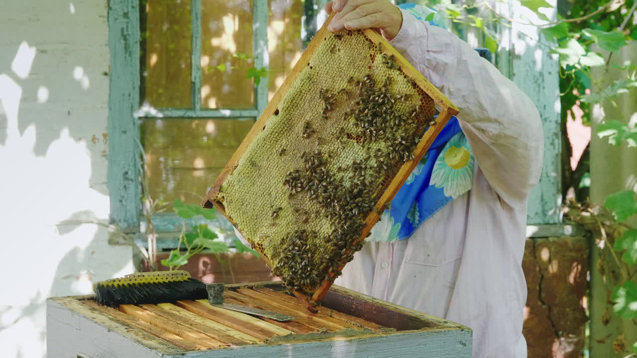 Un apicoltore anziano che lavora in un apiario vicino all'alveare. Video 4K.