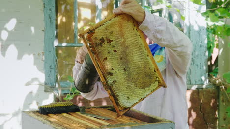 an elderly beekeeper working in an apiary near the hive 4k video