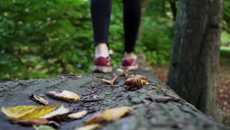 Person-Balanciert-Auf-Einem-Baumstamm-In-Einem-Deutschen-Wald