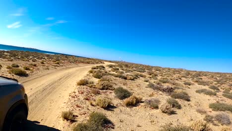 Action-cam-POV-of-SUV-racing-down-sandy-road-as-startled-seagull-flies-away-in-the-distance