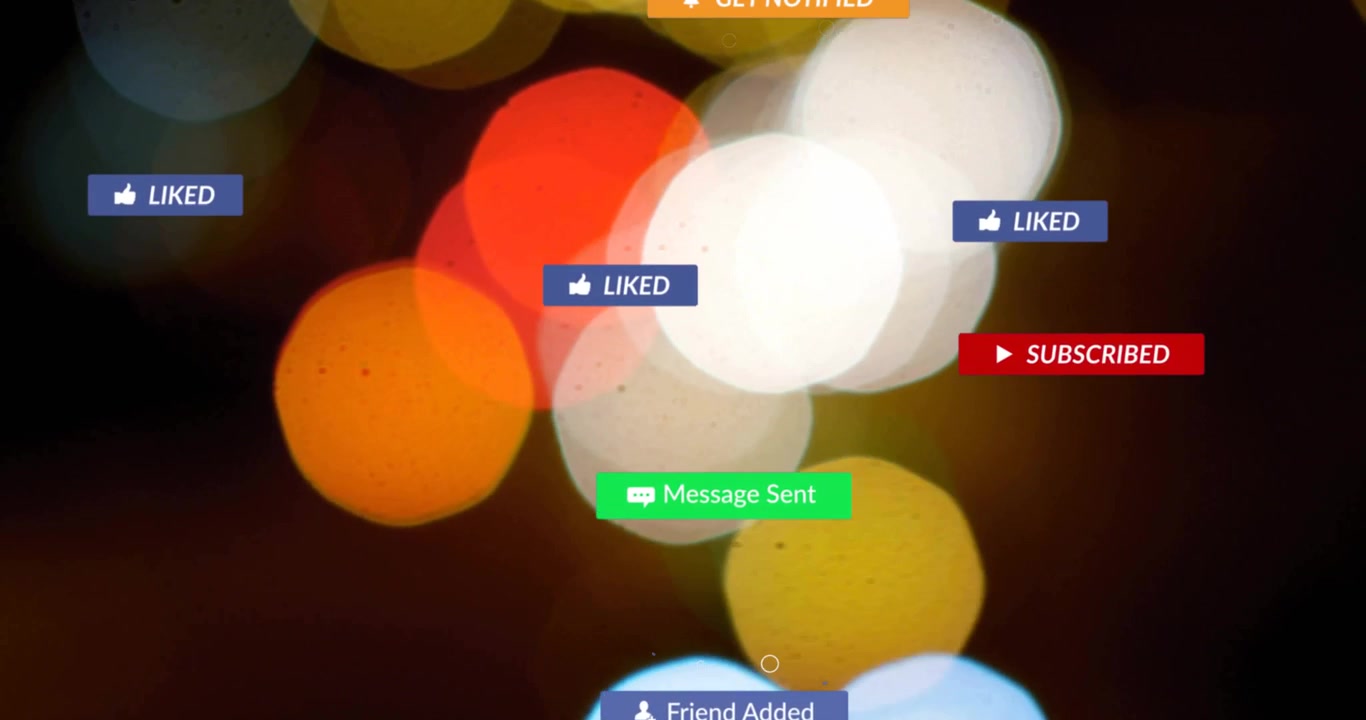 Cursor clicking Subscribe, subscribing user, alerts floating, fading over bokeh showing engagement