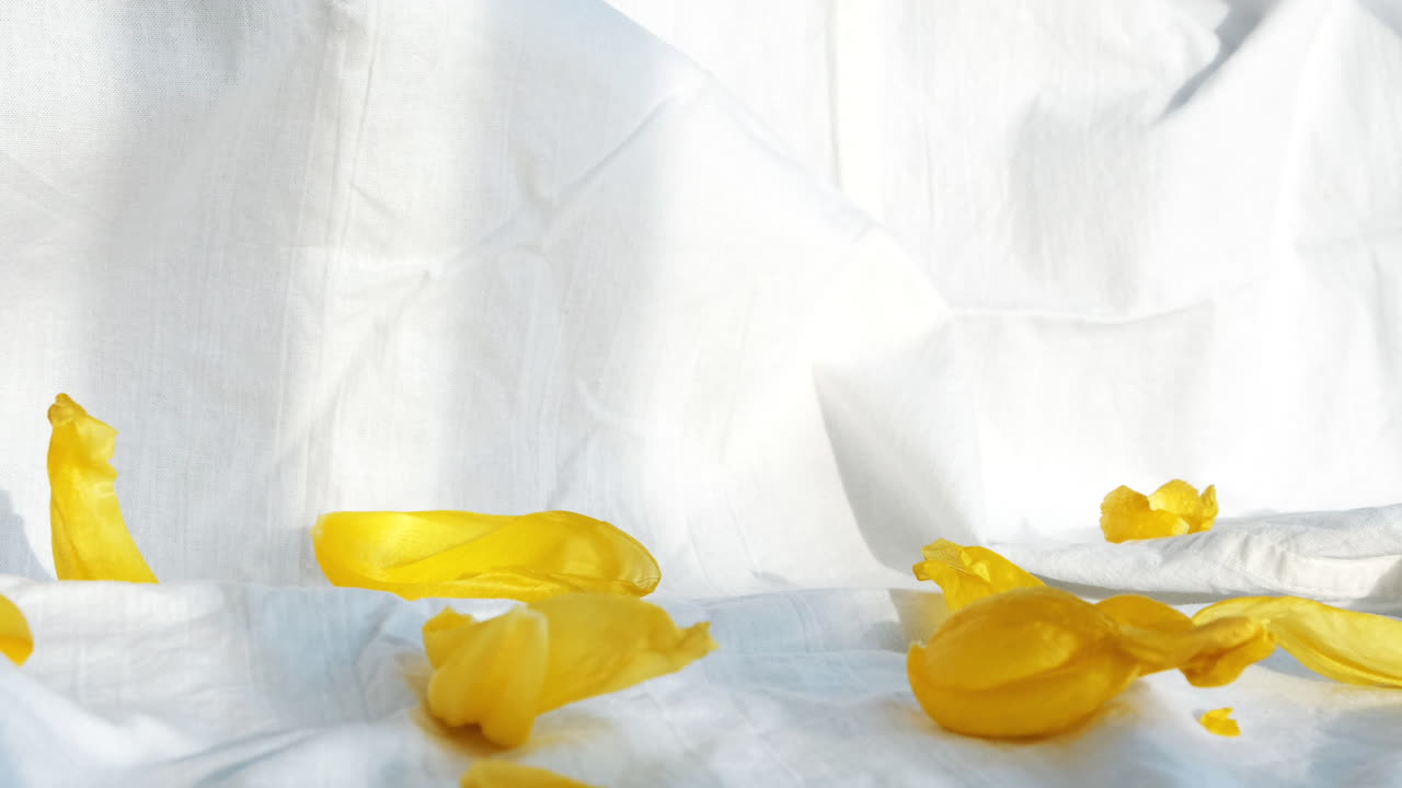 Elegant skincare product photography with yellow petals and white fabric