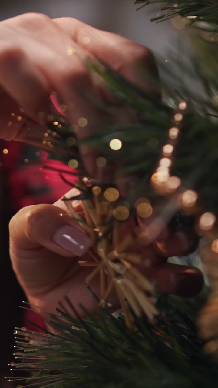 Decoración del árbol de Navidad