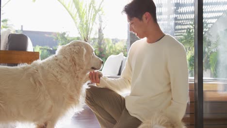 happy asian male teenager petting his dogs in living room