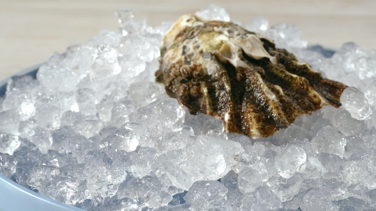 Fresh Oysters on Ice