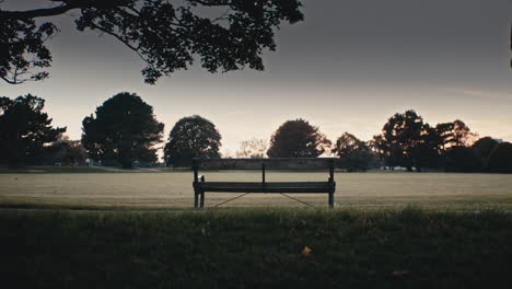 serene sunset at the park