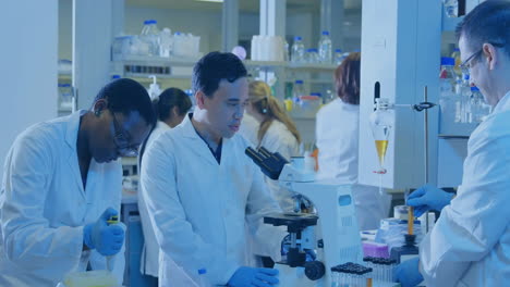 animación de la red de conexiones entre diversos científicos que trabajan en el laboratorio