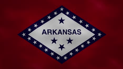 arkansas dense flag fabric wavers, background loop