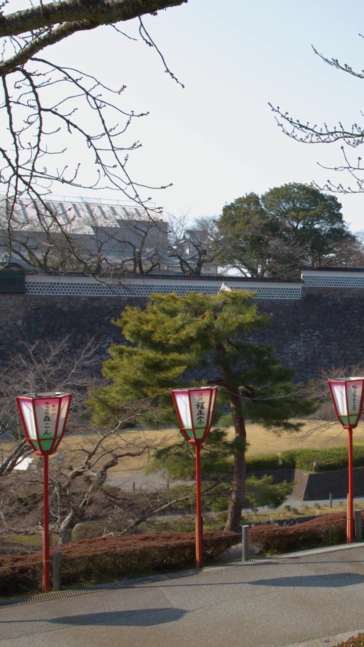 Inquadratura statica di lanterne rosse, pini e antiche mura di castello in pietra a Kanazawa, Giappone