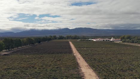 low-altitude flight over beautiful vineyards in the cafayate region, cachalquíes valleys, salta, argentina