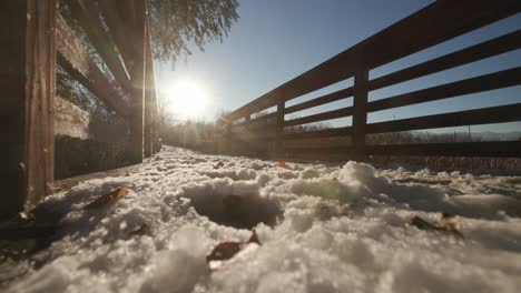 small boardwalk at walden ponds in boulder, colorado