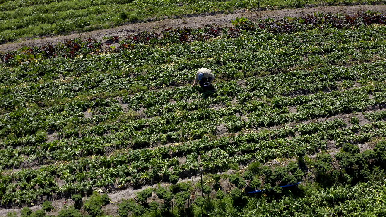 la tecnología sólo puede ser un activo.