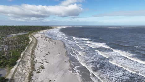 aerial low push over pines at hunting island beach south carolina