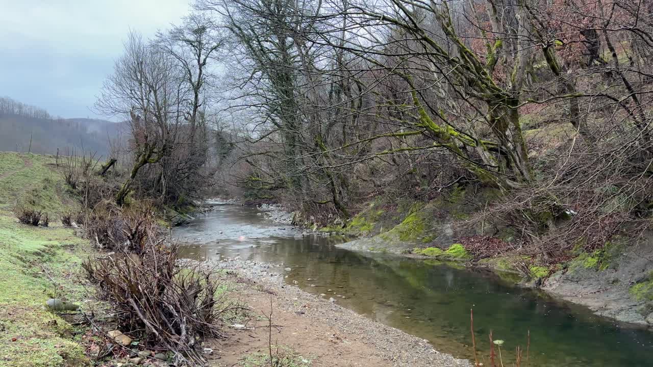 Forest stream a river flow in highland Iran Middle east mountain area rural town mountainous cabin fog hazy weather and cold wet climate with pond and wetlands offer a healthy life for people Jungle