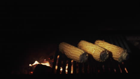 cooking on an open fire - delicious corn is fried on a hot grill in the grill