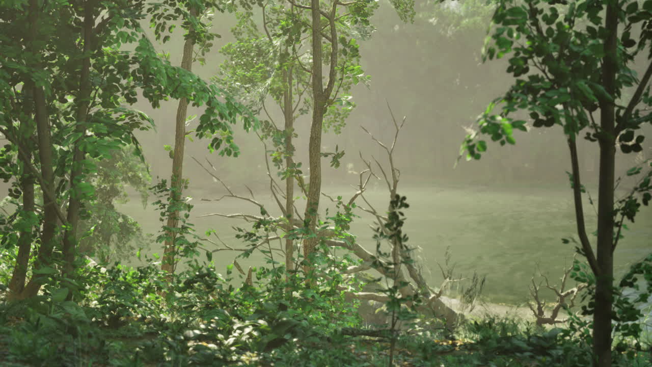 Lush Forest Landscape with Lake