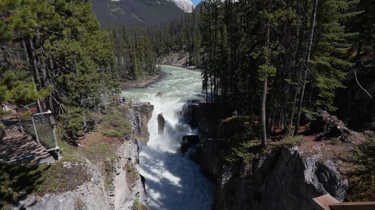 Sunwapta Falls fosser gennem en kløft i Jasper National Park i de canadiske Rocky Mountains