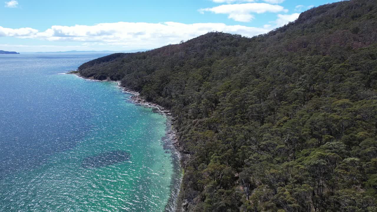Fluted Cape Walk, Penguin Island i Tasmanien, Australien - droneoptagelse