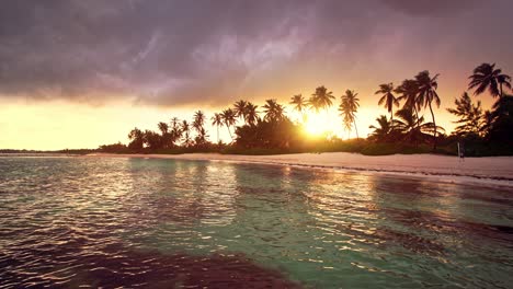 seamless  never ending footage. loop video of rain in ocean and tropical exotic beach with palm trees. raining and rainbow at sunset