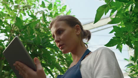 Agribusiness-owner-analysing-vegetables-growth-with-tablet-in-plantation-closeup