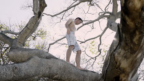 young man walks down tree branch with sun flare in background, slow motion