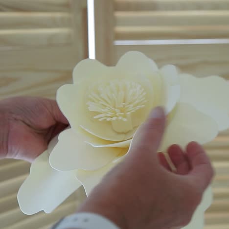 Decoration Element For Celebration