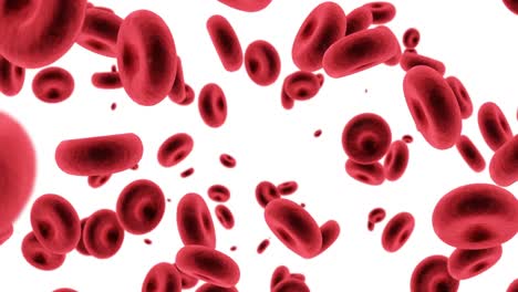 Digital-generated-red-blood-cells-against-white-background