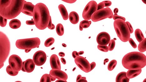 digital generated red blood cells against white background