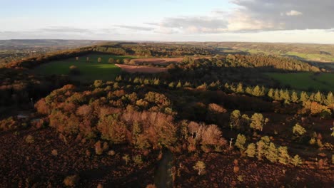 Lange-Und-Langsame-Luftaufnahme,-Die-über-Ein-Wunderschönes-Naturreservat-In-Großbritannien-Fliegt