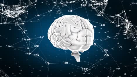 rotating brain with network connections