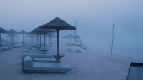 misty beach scene