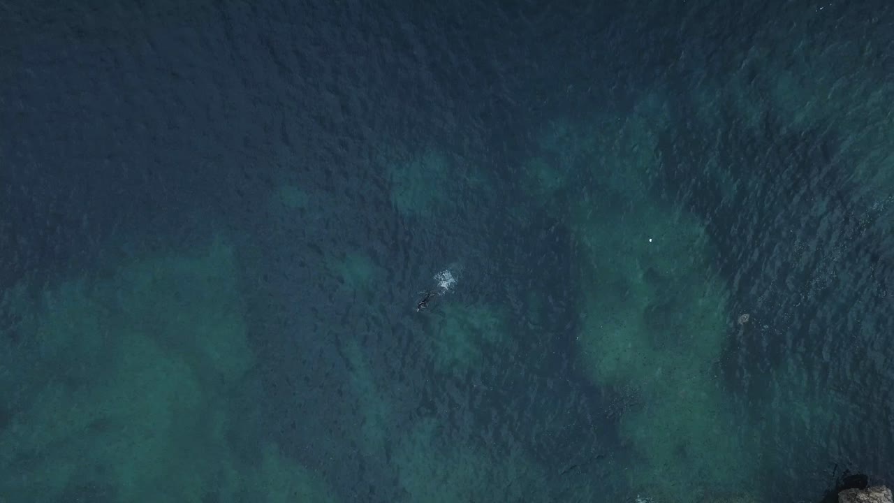 위에서 바다에서 수영하는 사람