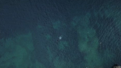 person swimming in the ocean from above