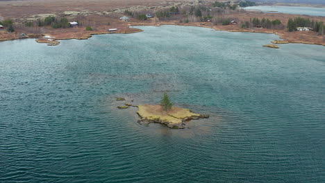 tree in an island in the middle of a scenic water body, aerial landscape in thingvellir national park