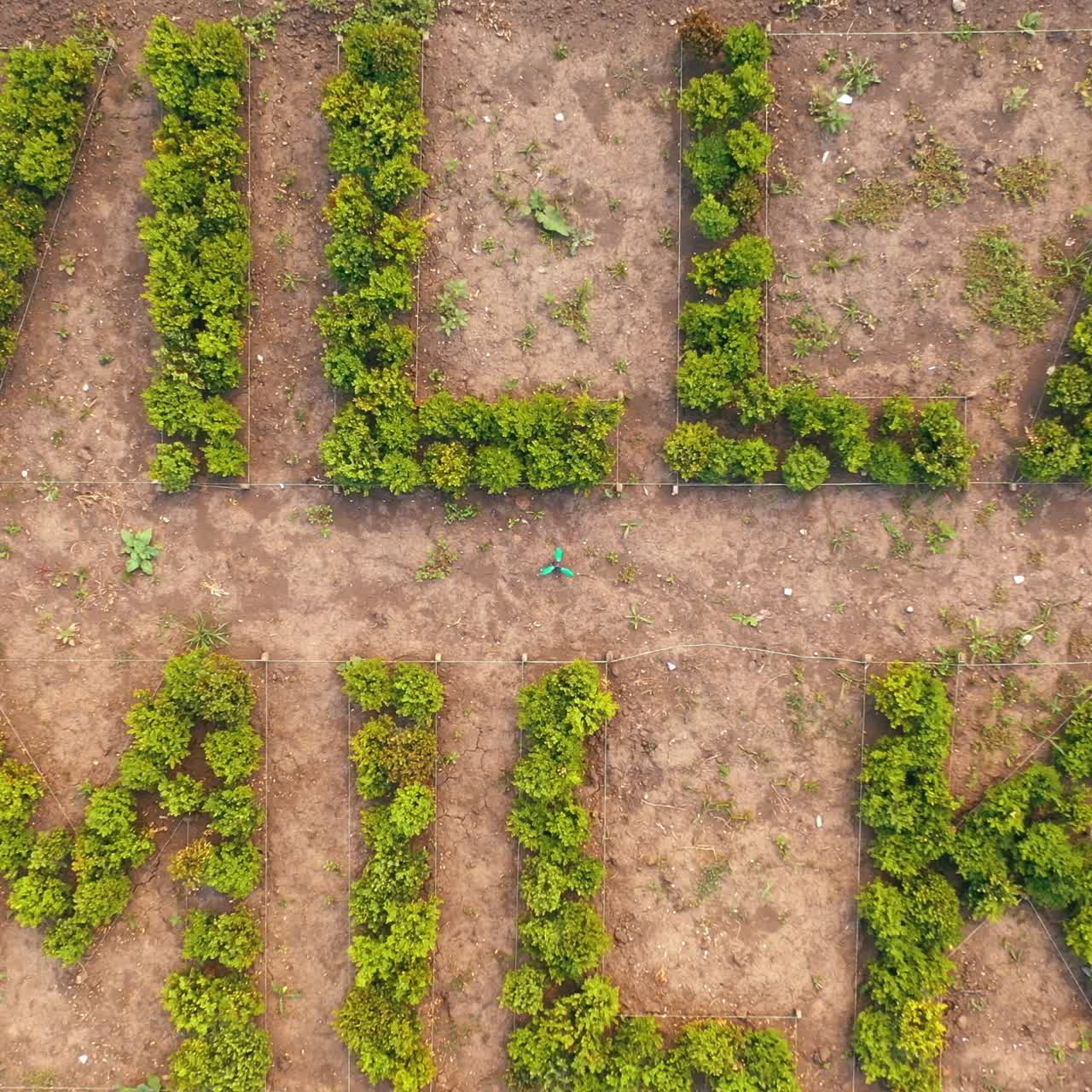 Landscaping Garden Design