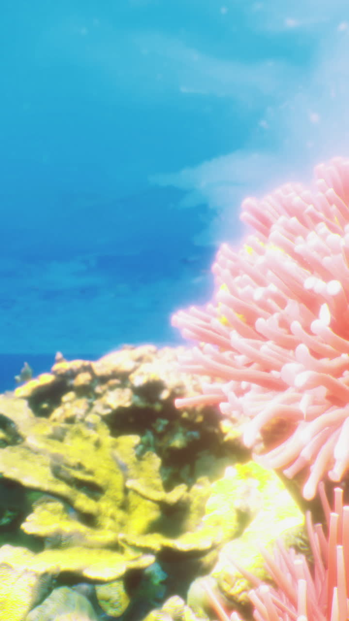 Barriera corallina vibrante brulicante di vita marina in acque oceaniche limpide