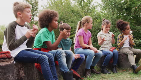 group of children on outdoor activity camping trip eating marshmallows around camp fire together