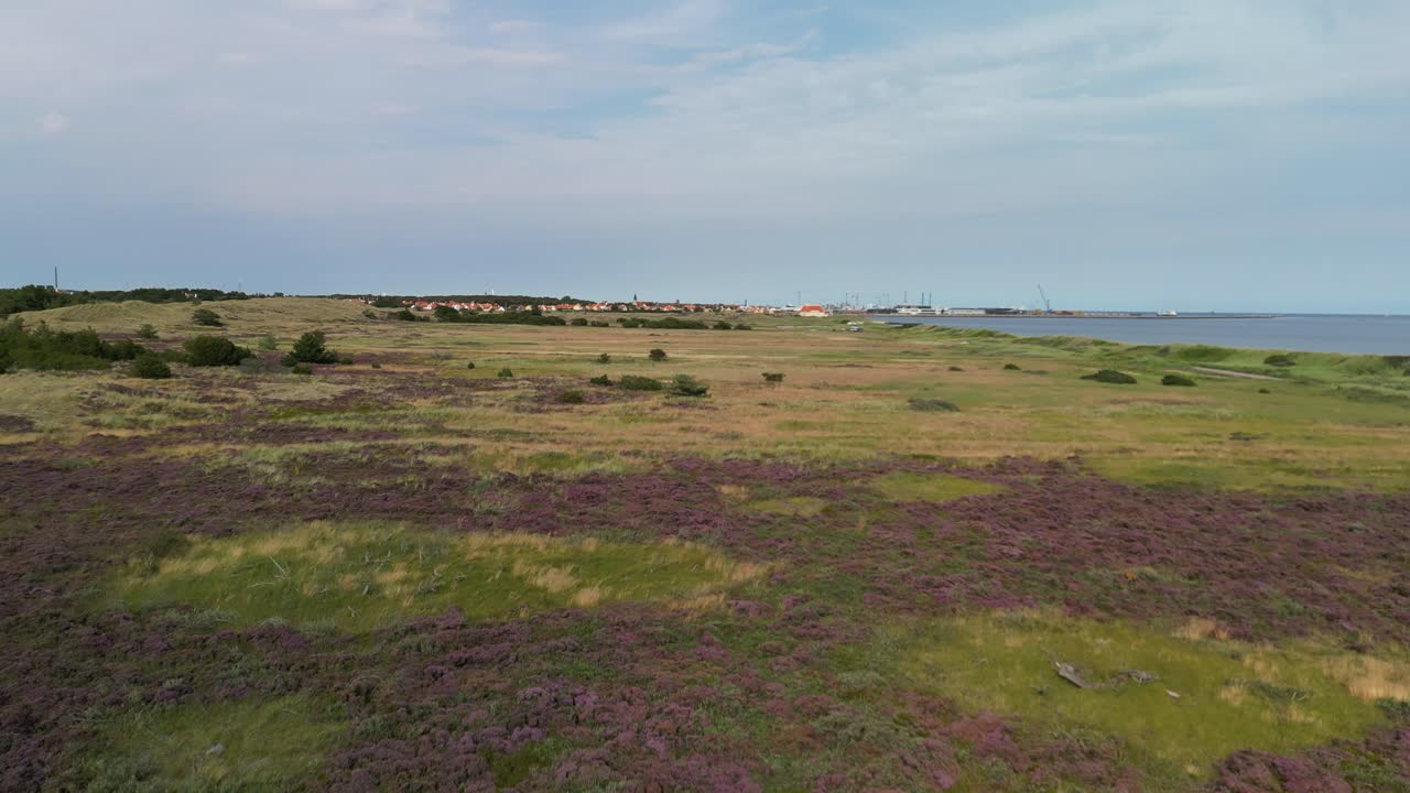 Luftvy över hed- och ljungfält, Skagen, Danmark.