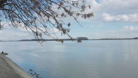 handheld shot of danube river at daytime. wide