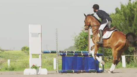 Hombre-Afroamericano-Saltando-Un-Obstáculo-Con-Su-Caballo-De-Doma