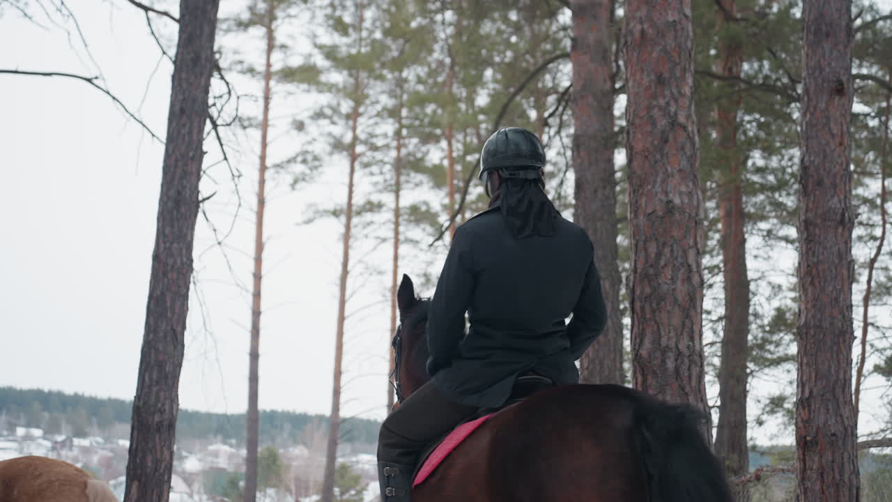 어둠 속 관찰자, 조용한 형체가 위에서 눈 덮인 평원과 상록수 숲을 바라보고, 외로운 검은 옷의 기마병이 주의 깊은 시선으로 빙하 계곡과 숲이 우거진 산비탈을 굽어보고 있어요.