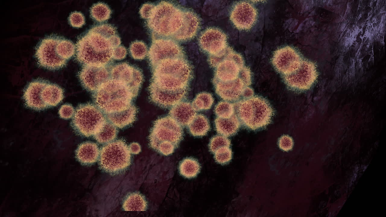 células microscópicas de virus en el espacio oscuro, animación