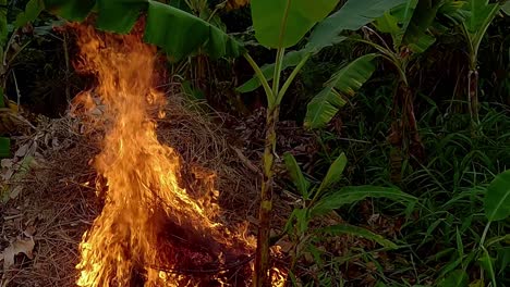 flames rise high where dry leaves lie, smoke twists in the rural sky