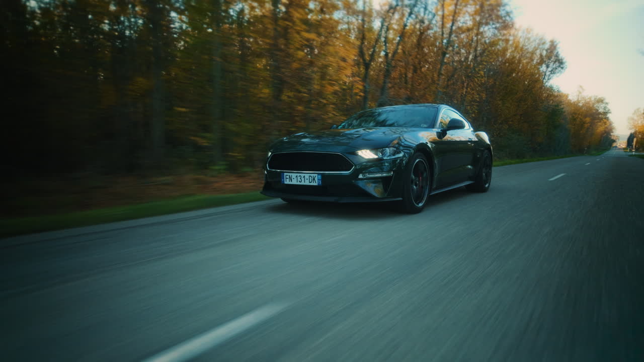 Ford Mustang on a Road