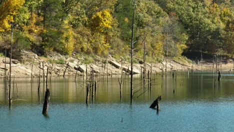 wood pilings in lake water near eagle hollow cave during autumn in bland, arkansas, usa