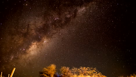 timelapse hecho de la vía láctea moviéndose por encima de algunos árboles iluminados por la noche en chile américa del sur con estrellas caída a través del video girando